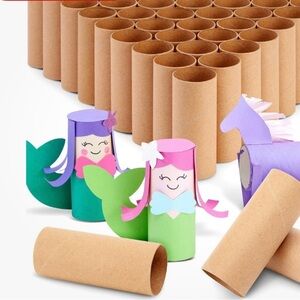 100 toilet paper cardboards for craft and art